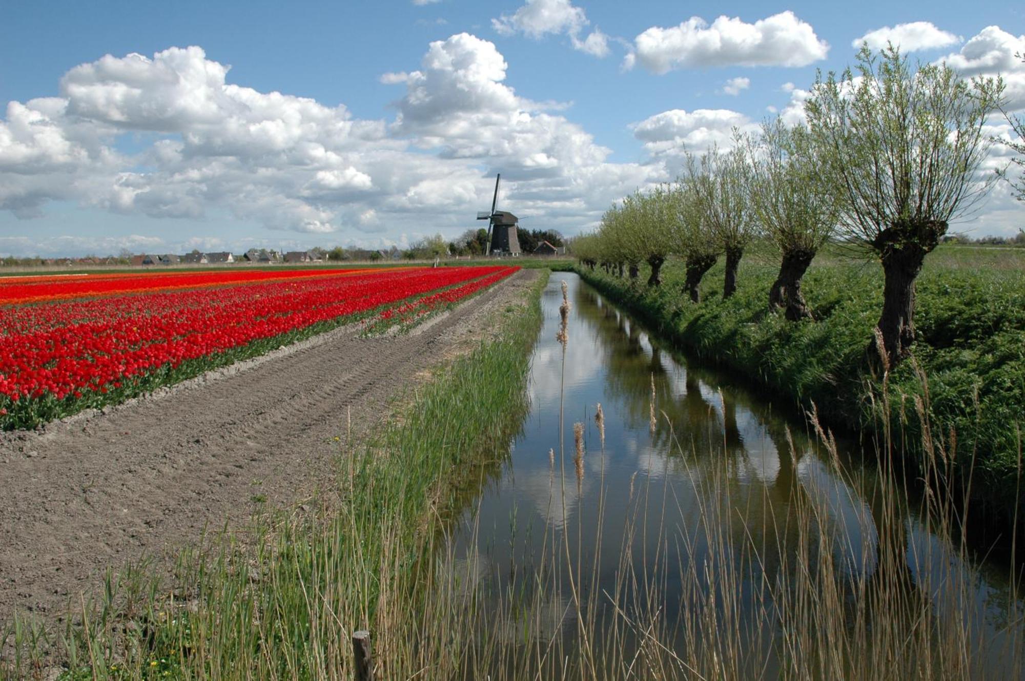 Hotelhuisjes Medemblik Wieringerwerf Exterior foto